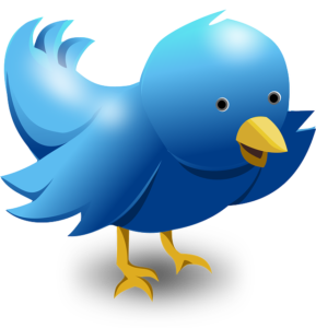 Twitter bird