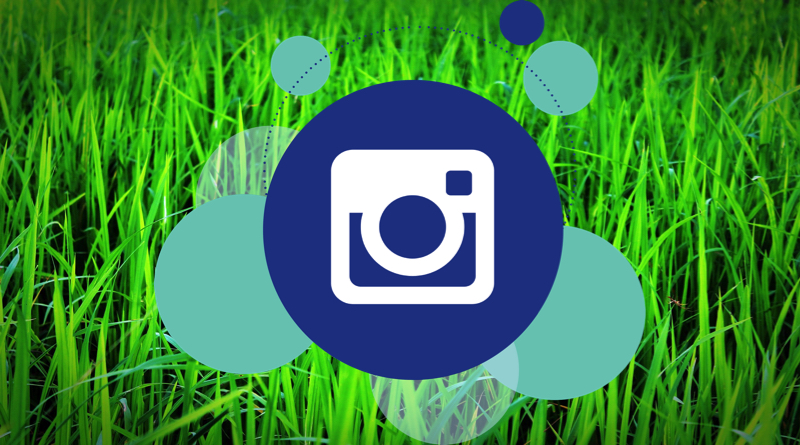 Helpful Tips To Grow Your Instagram Following
