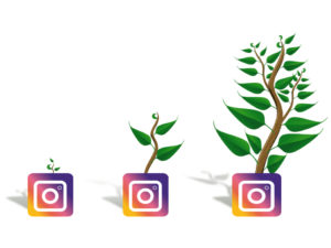How To Grow Your Followers Organically On Instagram