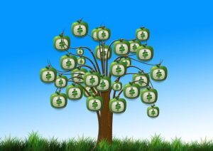 Money on tree