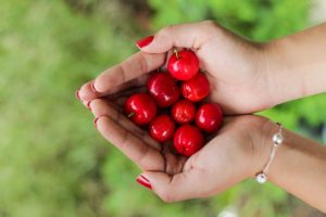 Hand full of cherries