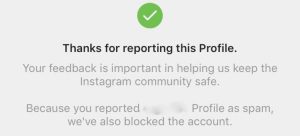 How to report fake Instagram account