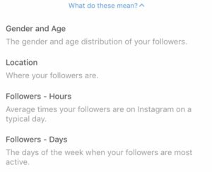 Everything You Need to Know About Instagram Analytics