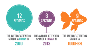 Attention span human gold fish