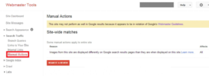 Google Website Penalization