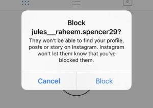 Get rid of Fake Instagram followers