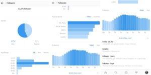 Instagram Insights statistics