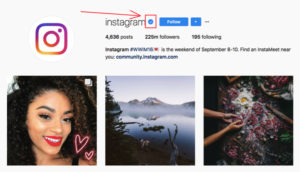 Instagram Verified Badge How to get verified instagram