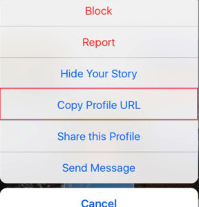 Instagram Copy Profile URL