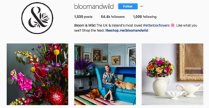 Bloom and wild Instagram
