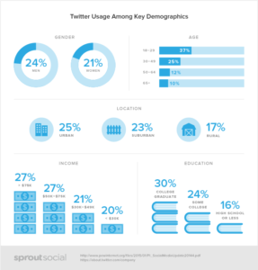 Twitter demographics