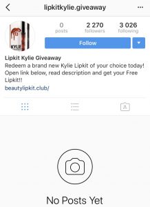 Instagram fake accounts followers