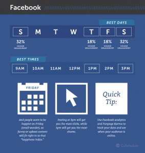 Facebook user demographics