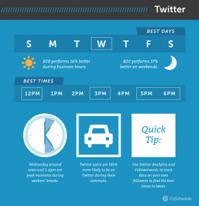 Twitter user demographics