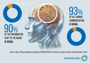 visual content human brain