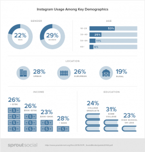 Instagram user demographics