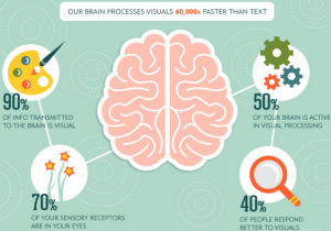 Human brain process visual content
