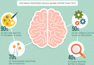 Human brain resonates with visual content Human brain process visual content