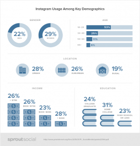 User demogrpaphics Instagram