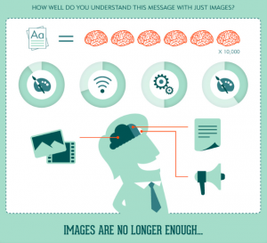 Human brain visual content