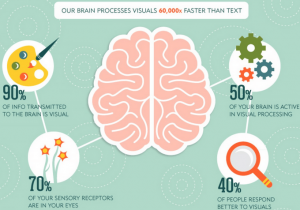 Human brain process visual content