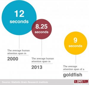 Attention span of humans Human attention span