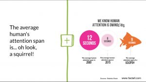 Human attention span