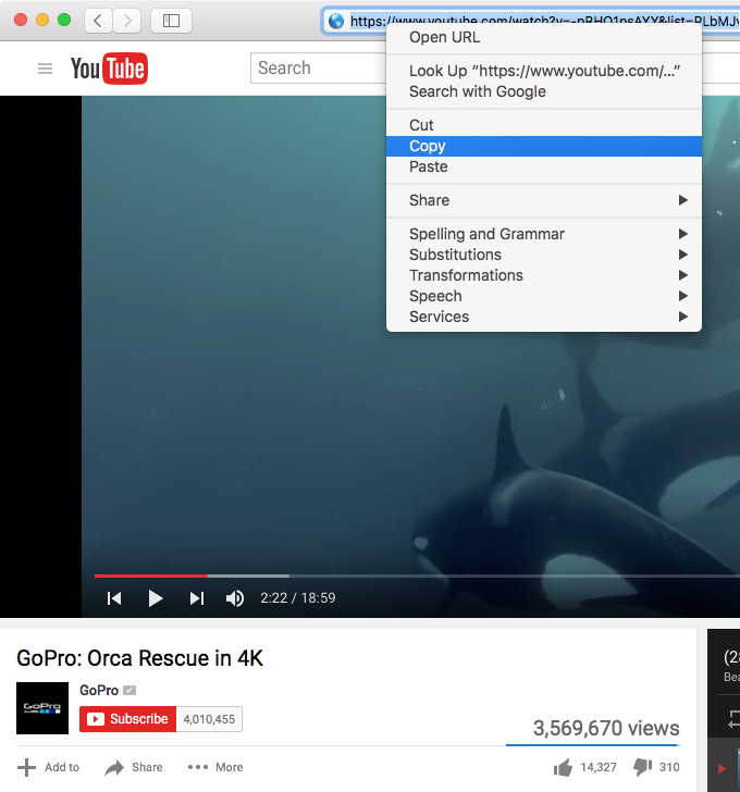 how to download youtube playlist videos at once online free how to download youtube playlist videos at once online free