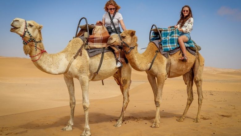 Enjoy Desert Safari With Camel Ride In Dubai 2021
