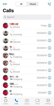 view WhatsApp call history