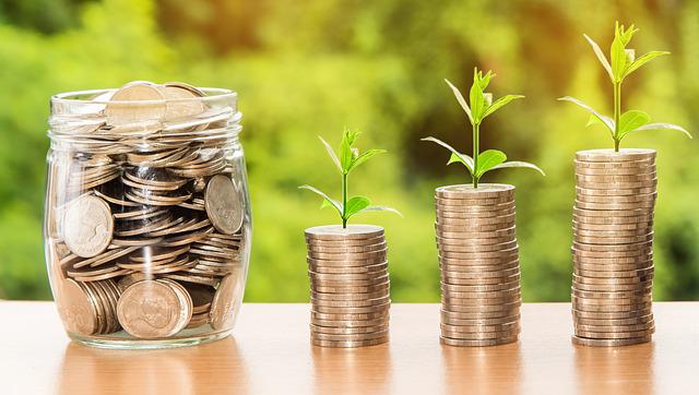 A coin tree growing in different phases.