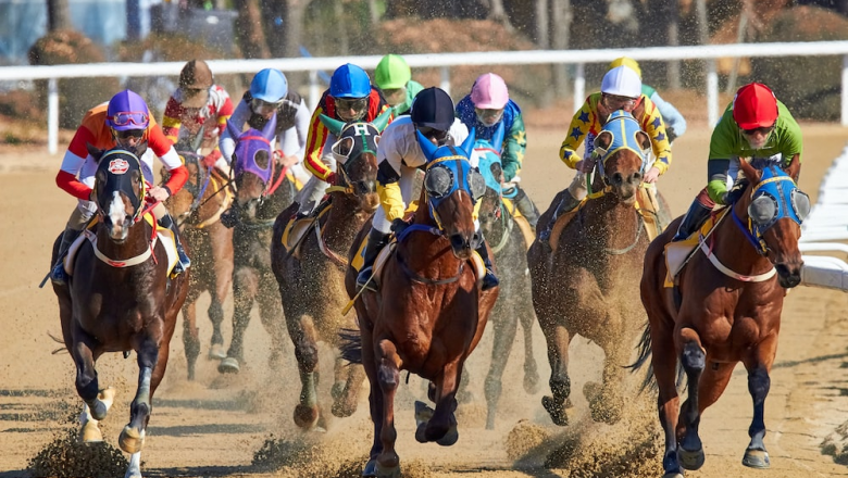 The Long History of Horse Races