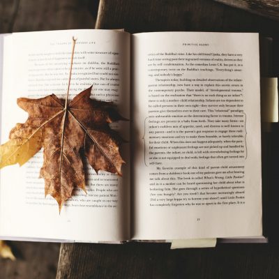 100+ Mind Blowing Book Captions for Instagram (For Book Lovers)!