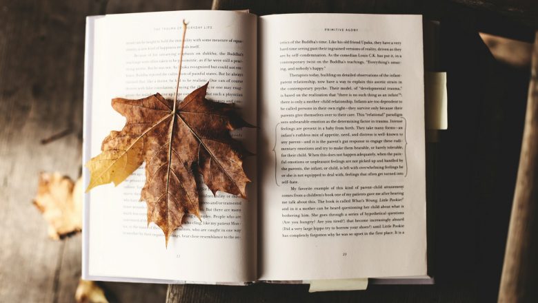 100+ Mind Blowing Book Captions for Instagram (For Book Lovers)!