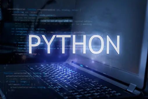 7 Benefits of Outsourcing Python Web Development  and Ways to Mitigate Possible Risks