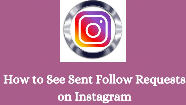 How to See Sent Follow Requests on Instagram