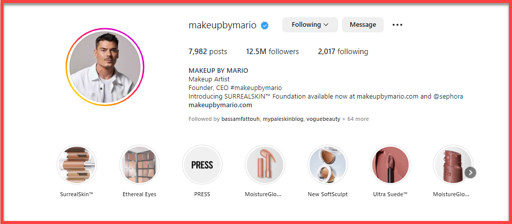 Instagram bio of a makeup artist
