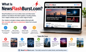 What Is NewsFlashBurst.com